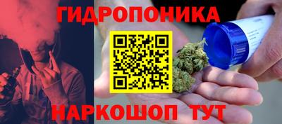 дживик Пенза
