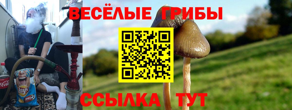 купить наркотик  Вход с VPN  Галлюциногенные грибы Psilocybine cubensis  Подольск  Псилоцибиновые грибы MAGIC MUSHROOMS 
