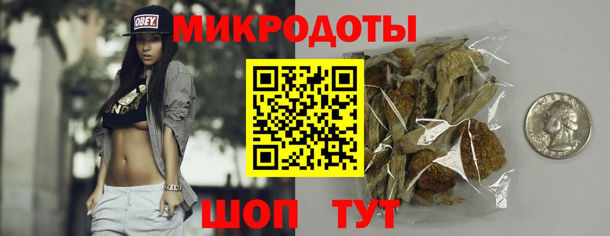 Псилоцибиновые грибы мицелий Подольск